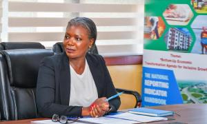 COURTESY CALL BY A TEAM FROM UN WOMEN