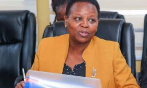 THE JOINT NATIONAL-UN COOPERATION  FRAMEWORK COMMITTEE  EVALUATION REPORT MEETING