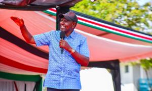 THE NYOTA BUSINESS START -UP CAPITAL DISBURSEMENT PROGRAMME