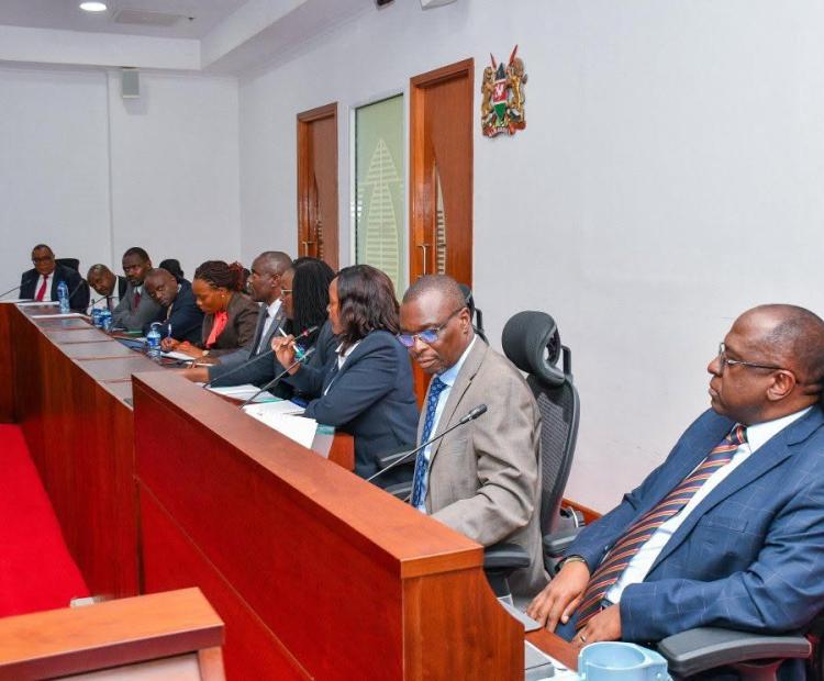 PS MEETING WITH THE DEPARTMENTAL COMMITTEE ON FINANCE AND NATIONAL PLANNING TO CONSIDER THE  2026 BUDGET POLICY STATEMENT