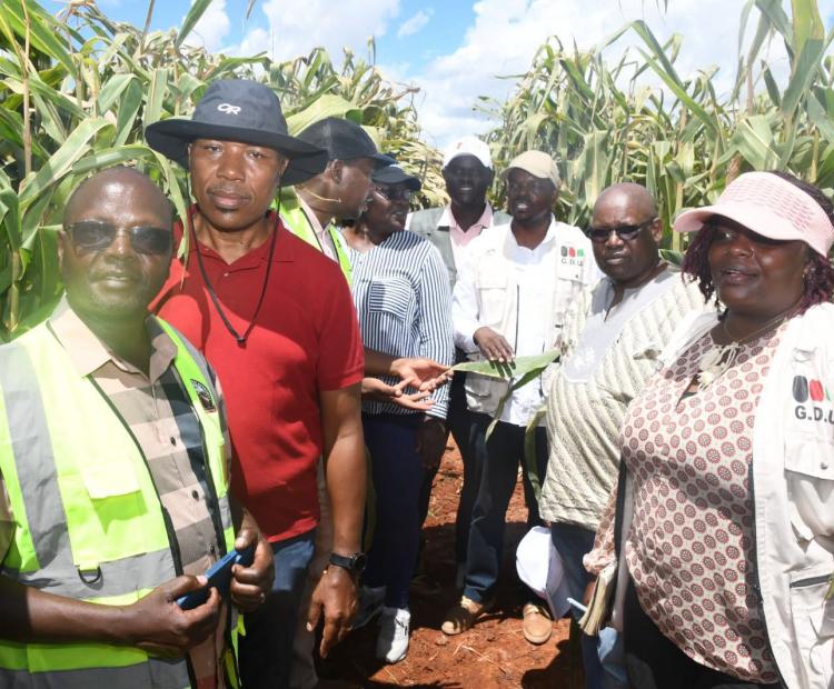 THE MULTI-AGENCY PROJECT VERIFICATION TO GALANA KULALU IRRIGATION, FOOD SECURITY AND ENABLING INFRASTRUCTURE EXERCISE